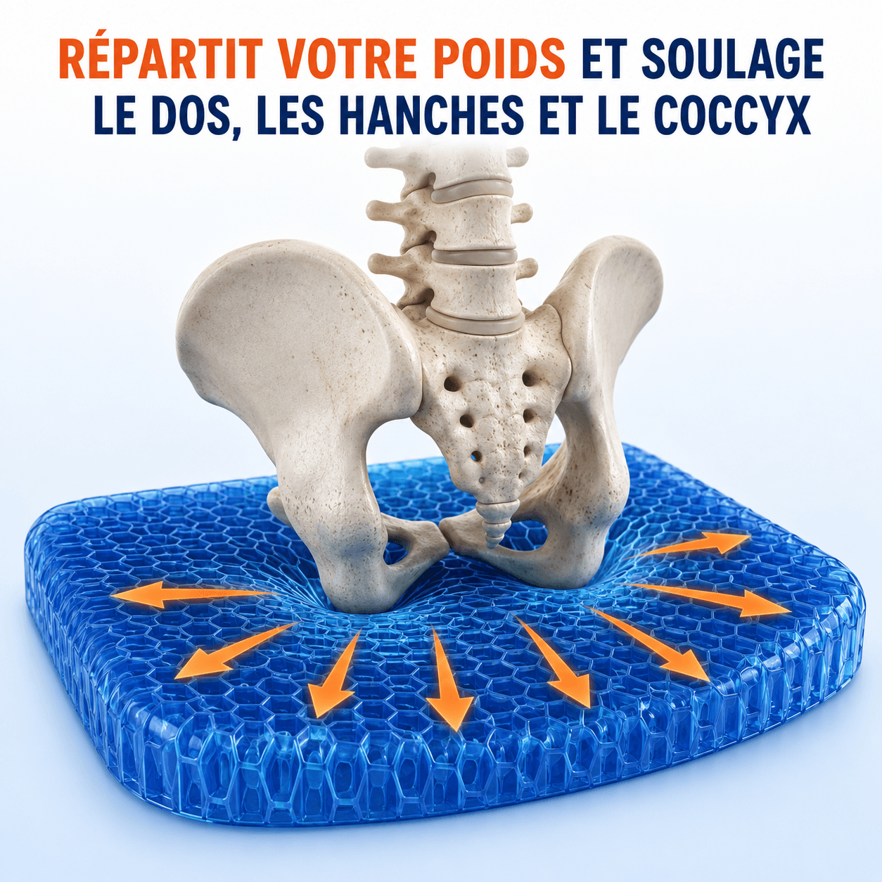 Coussin Gel  Sedya®