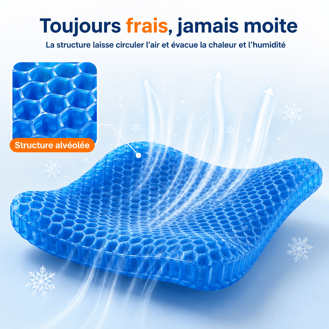 Coussin Gel  Sedya®