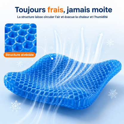 Coussin Gel  Sedya®